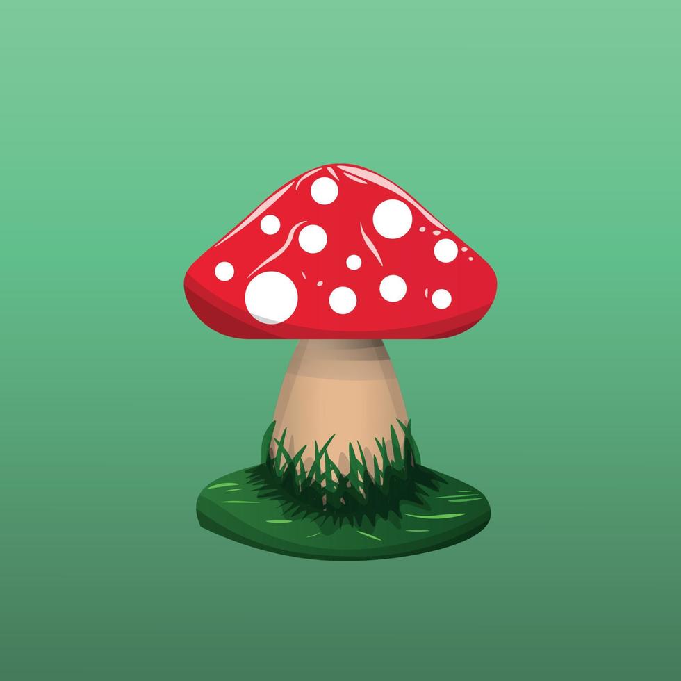 Realistic mushroom vector isolated. Red fly agarics. Vector illustration