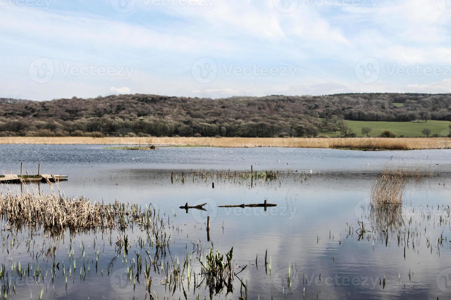 A view of Leighton Moss Nature Reserve in the Lake District photo