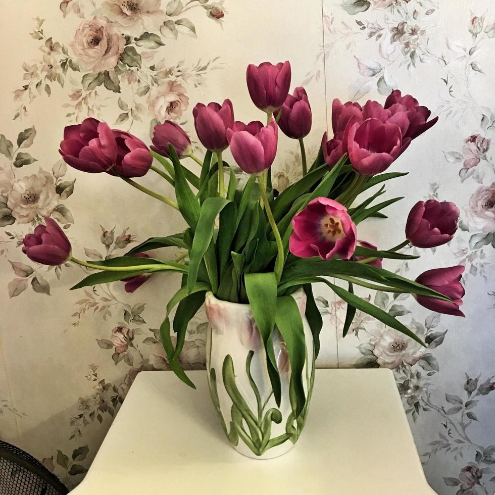 A close up of a Tulip photo