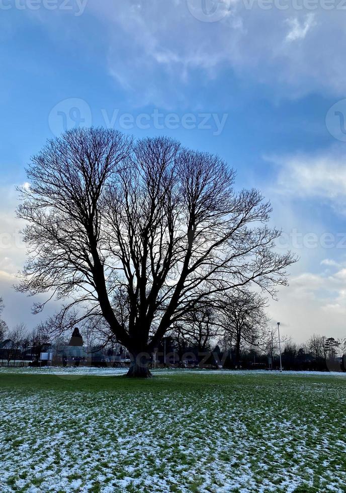 A view of the Whitchurch Countryside in the snow photo