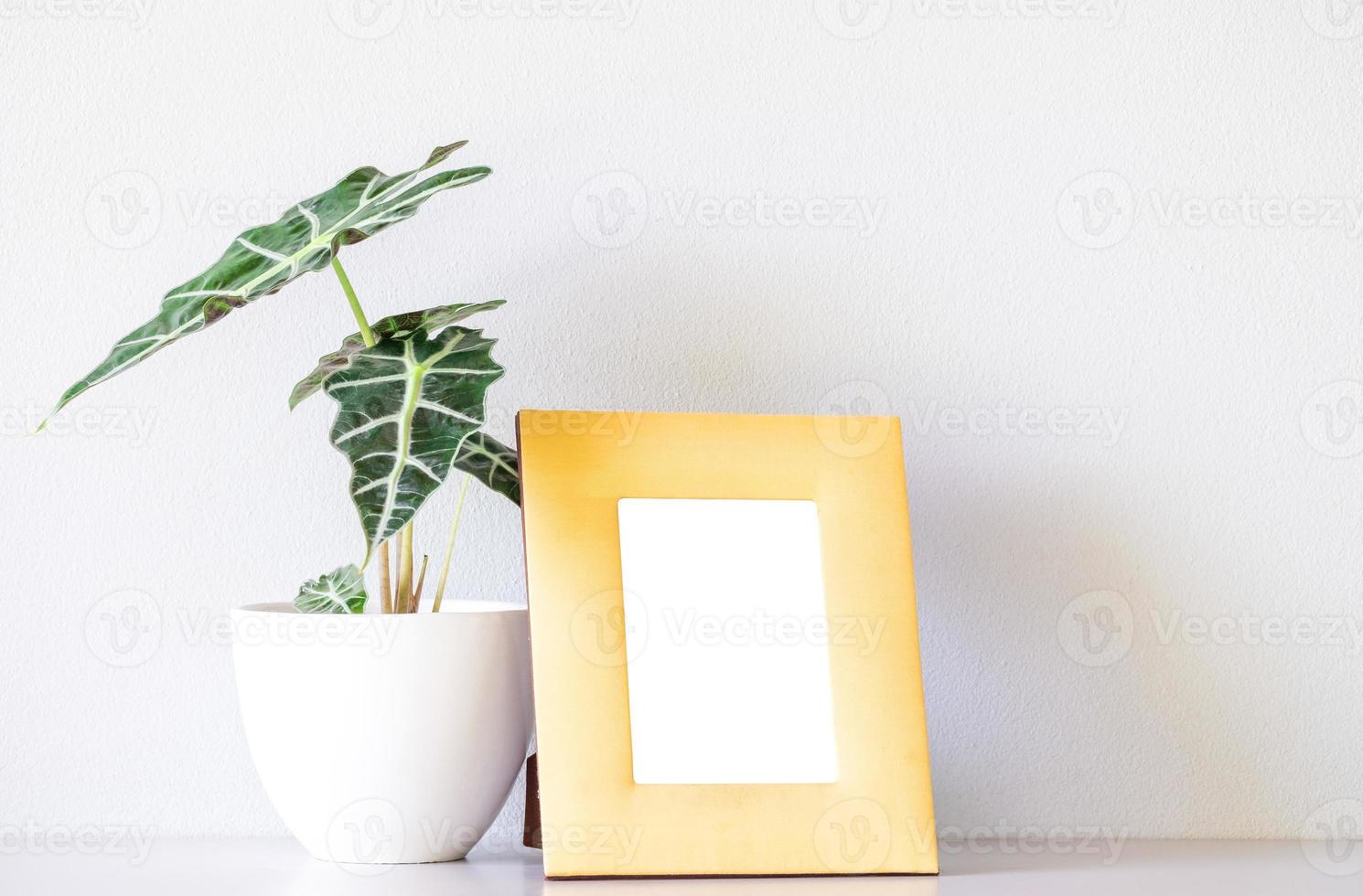 Yellow modern desktop photo frame mock up and  Alocasia sanderiana Bull or Alocasia Plant on  white table and white wall background