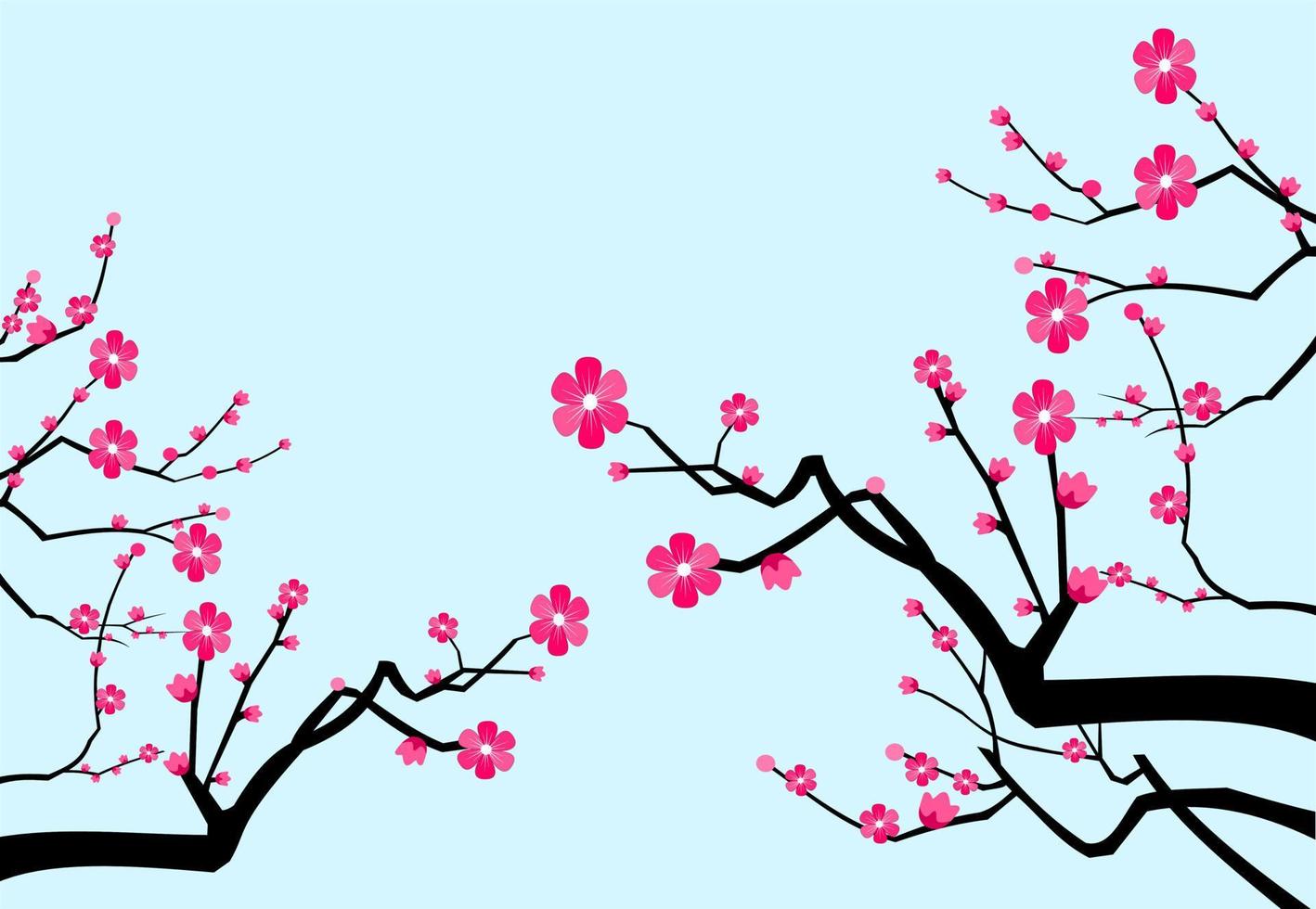 fondo flor de cerezo flor de primavera japón, rama de sakura floreciente con flores, flor de cerezo. vector