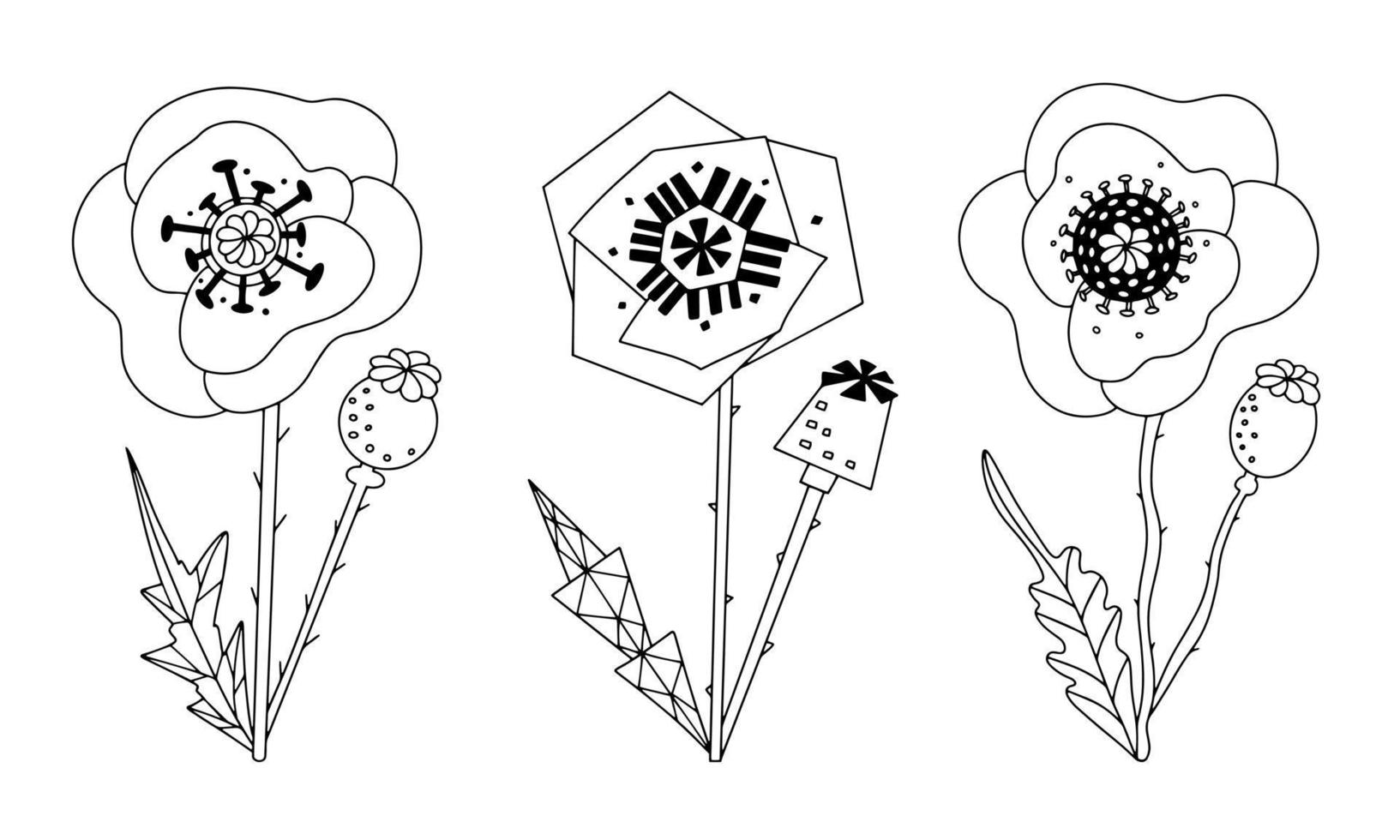 Floral design elements. Stylized poppies black and white with a line drawing. Graphic fantasy flower set vector