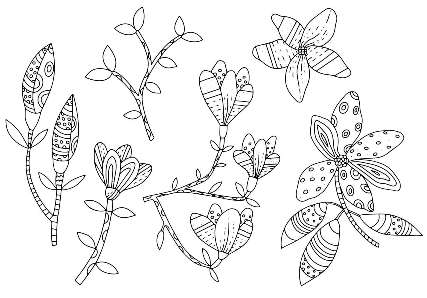 Magnolia flowers on branches with leaves. Set of botanical graphic elements in ethnic style. Hand drawn stylized plants vector