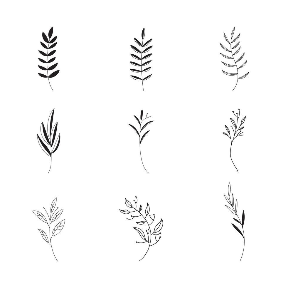 Hand drawn Set of botanical leaf doodle wildflower line art vector