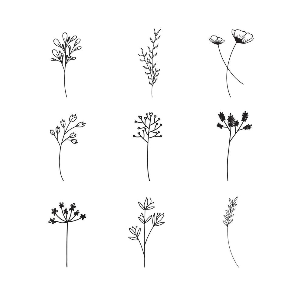 Hand drawn Set of botanical leaf doodle wildflower line art vector