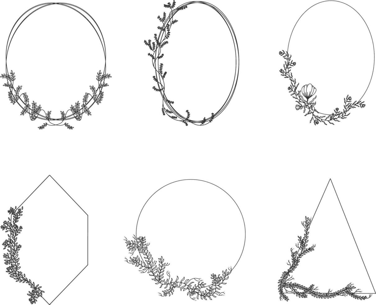 Hand drawn botanical elements set vector