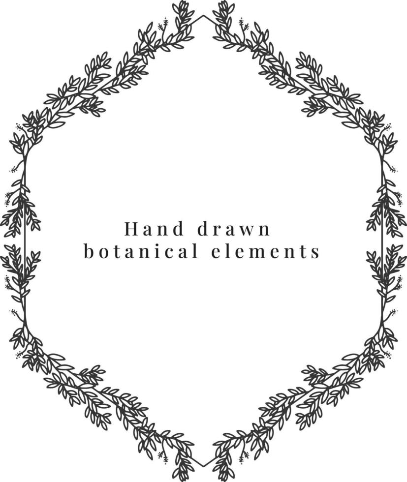 Hand drawn botanical elements vector