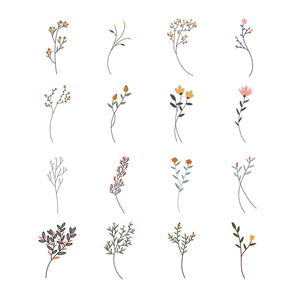 Colorful hand drawn flowers line art vector
