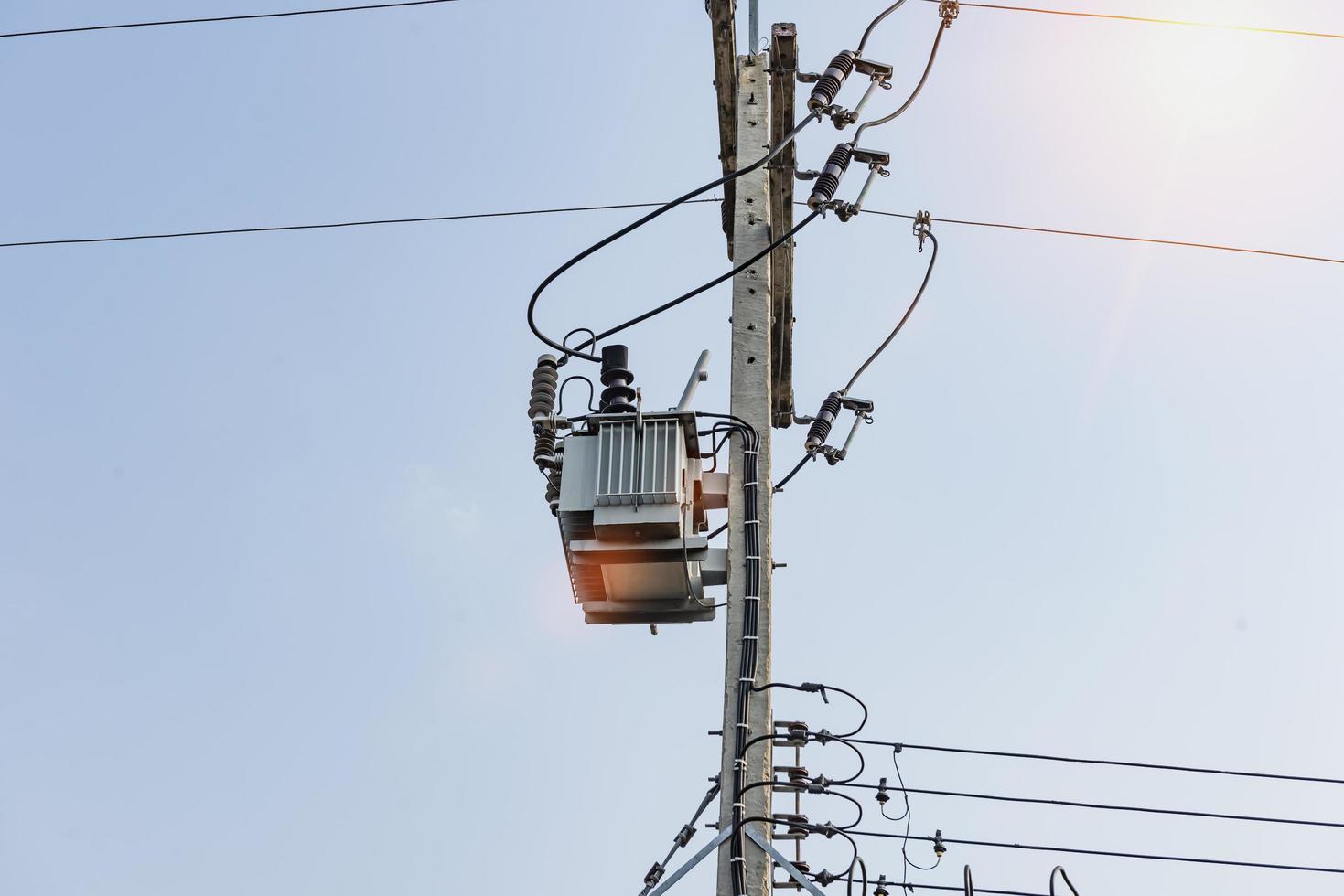 Power poles and power lines photo