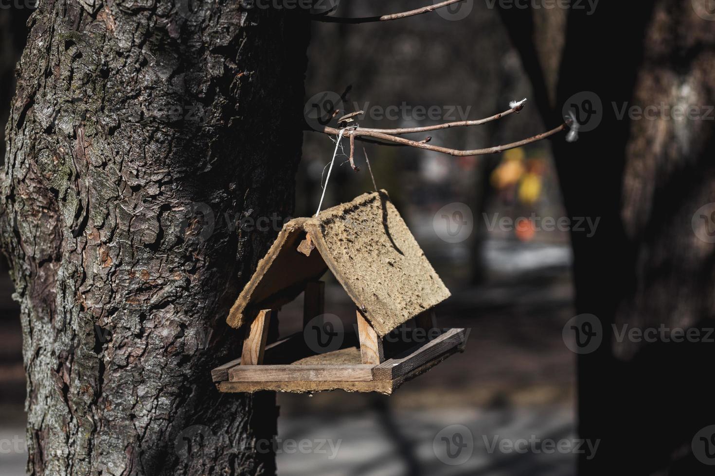 wooden bird feeder photo