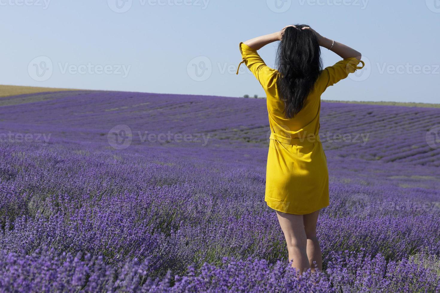 Rear view of a beautiful young woman in a yellow dress and arms thrown up in long dark hair in a lavender field. Enjoyment of life. photo