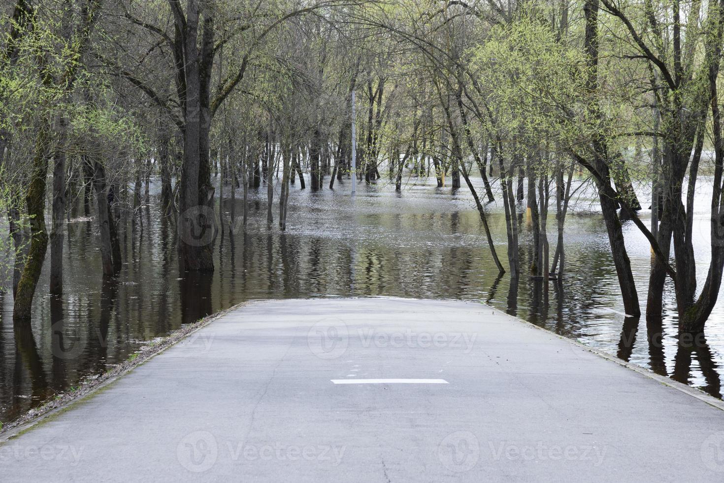 Spring flood on a river in Europe as a result of seasonal snowmelt and groundwater rise, flooding of a highway. photo