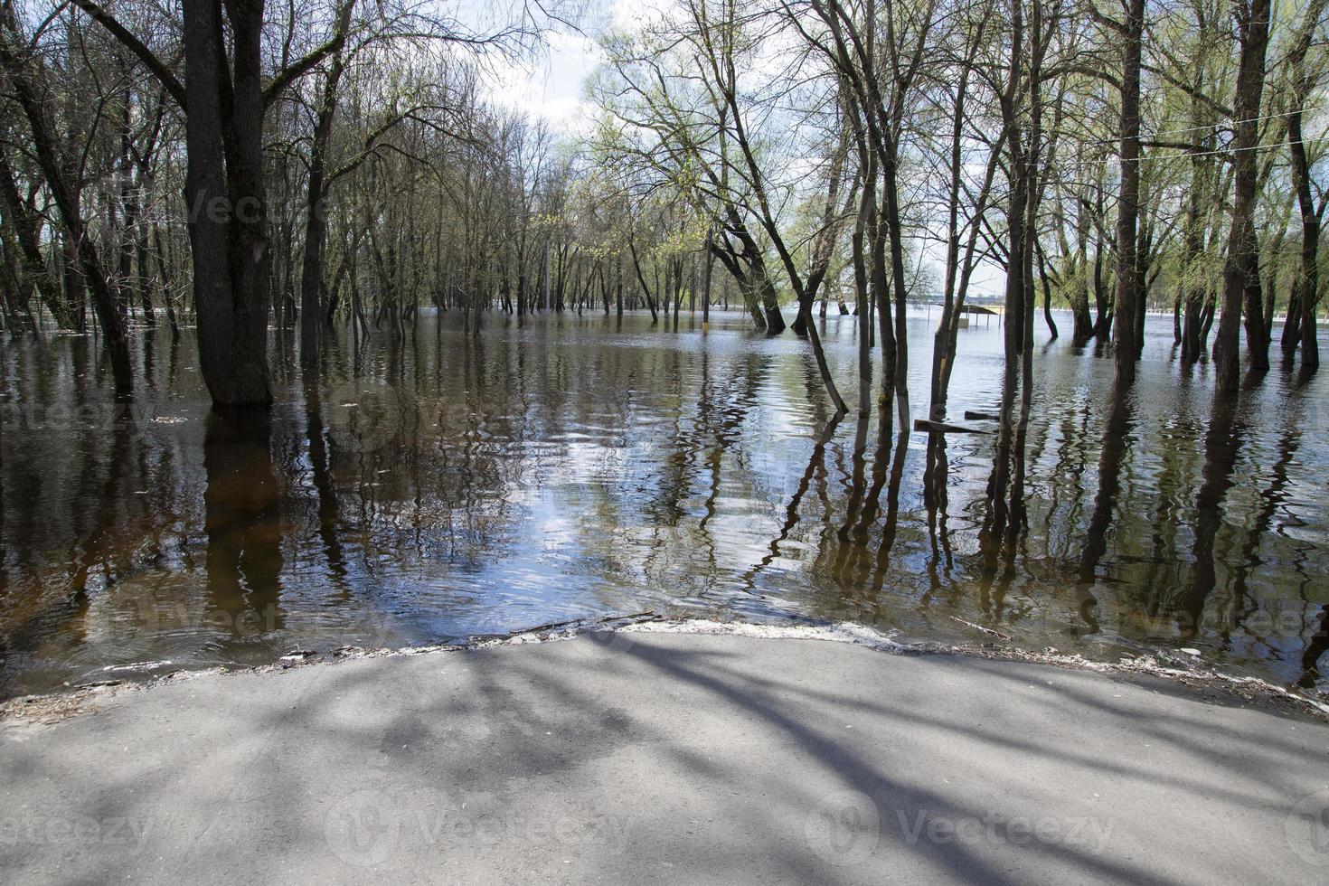 Spring flood on a river in Europe as a result of seasonal snowmelt and groundwater rise, flooding of a footpath. photo