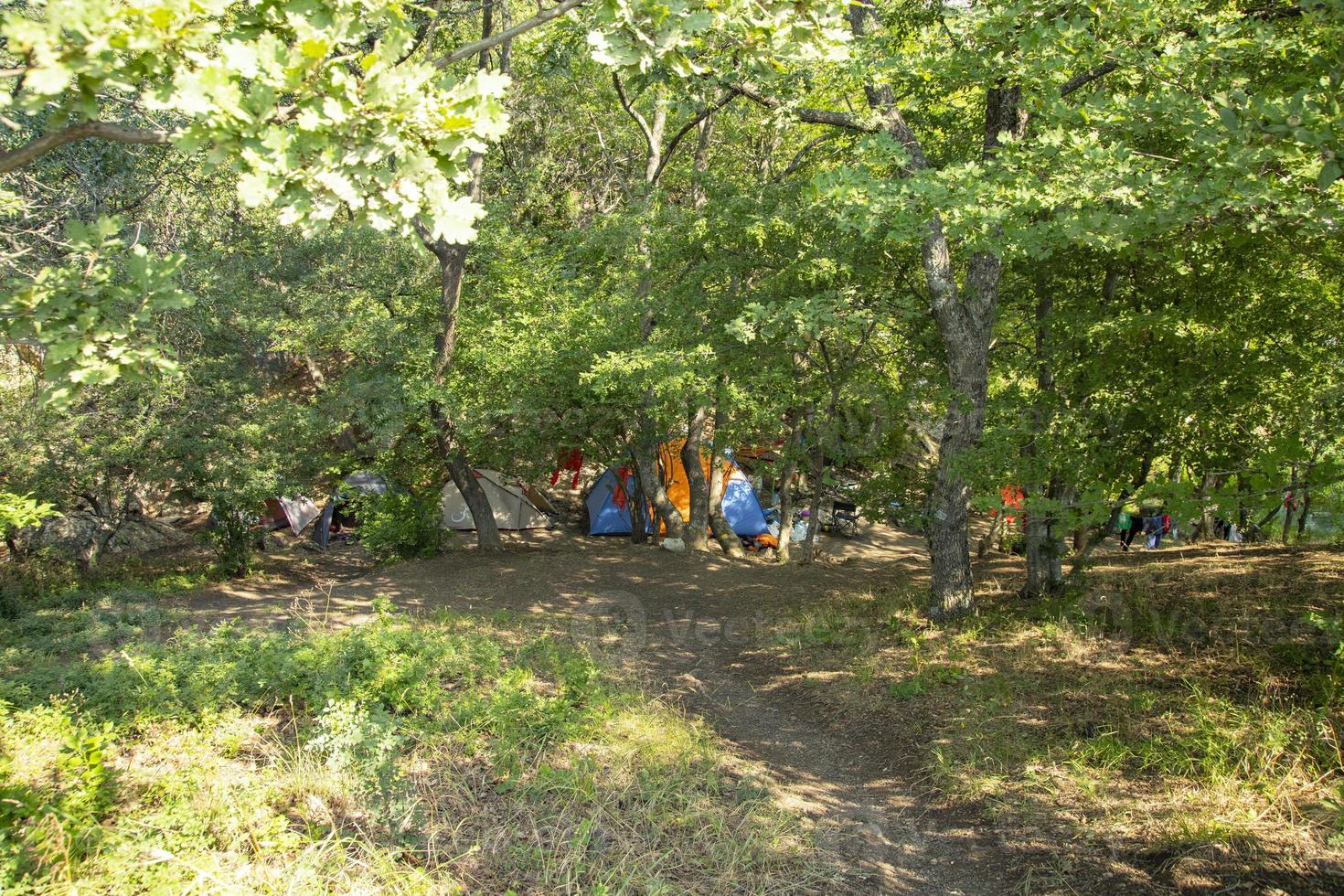 Tourist tents in a camp in a mountain forest of oaks in the Crimea. photo