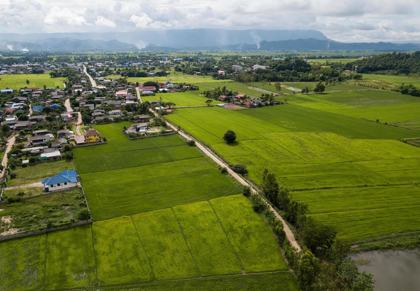 Aerial view of local village in Pa Daet district in the southern part of Chiang Rai province of Thailand with green rice paddy field. photo