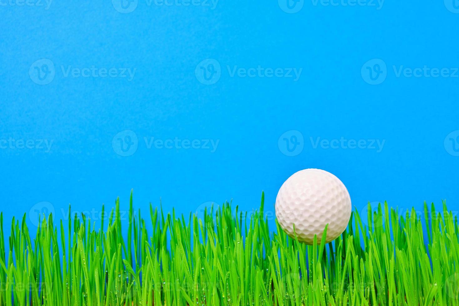 Golf ball on a green lawn on a blue background. photo