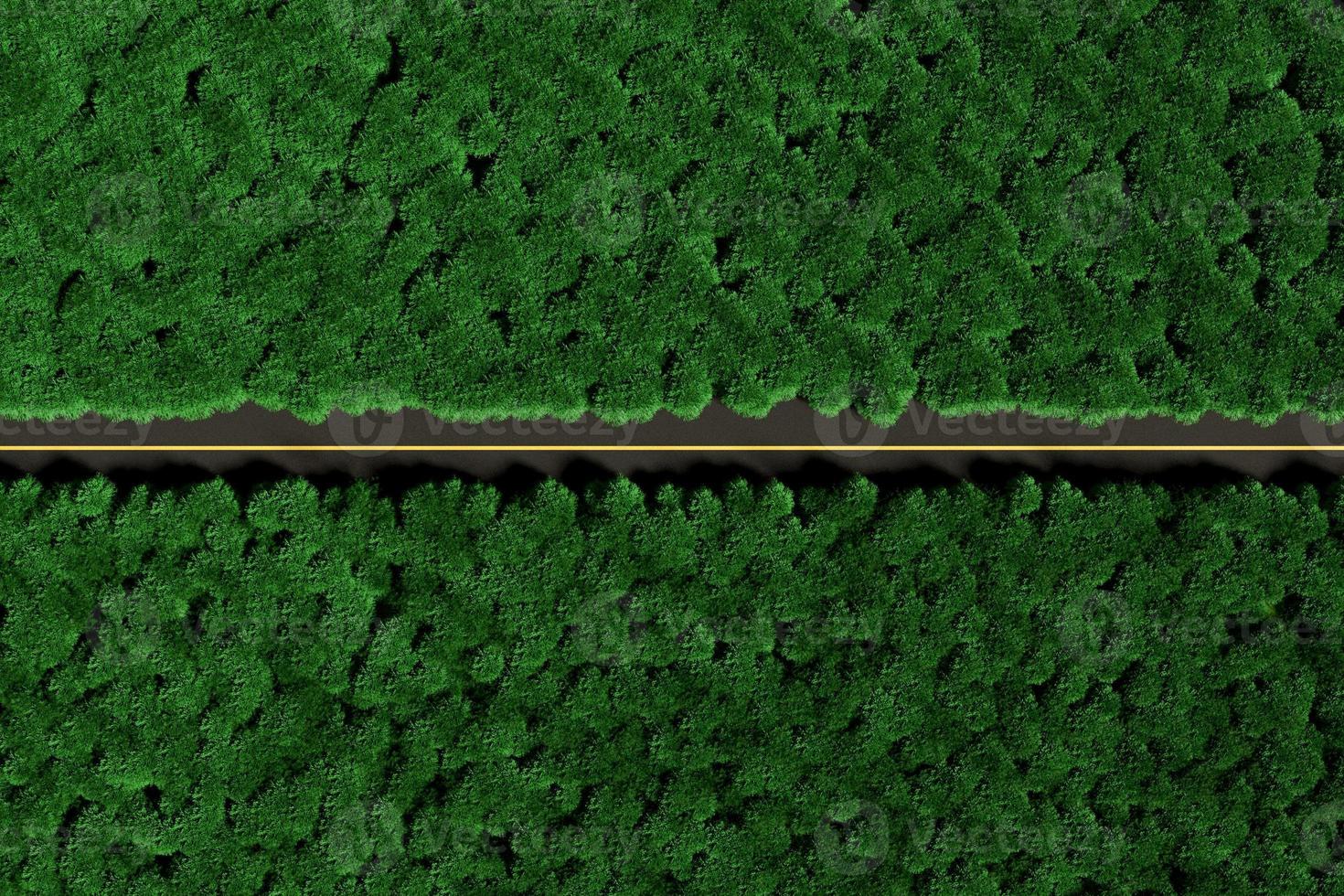 Bird's eye view of a straight road in a dense green forest, aerial landscape. photo