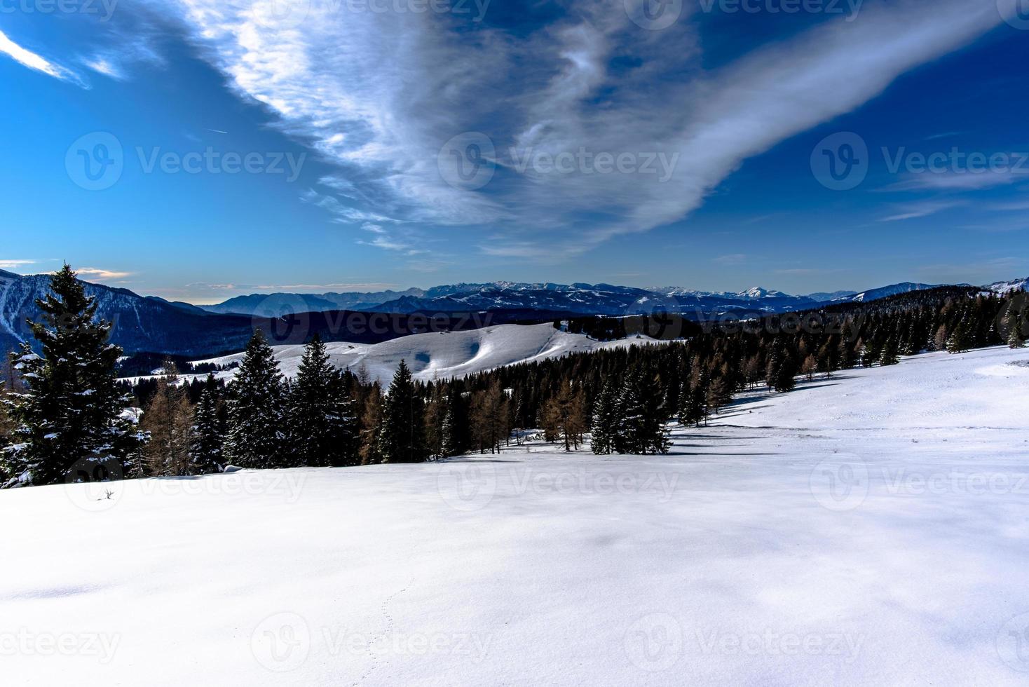 2021 12 11 cima larici nieve y pinos 4 foto