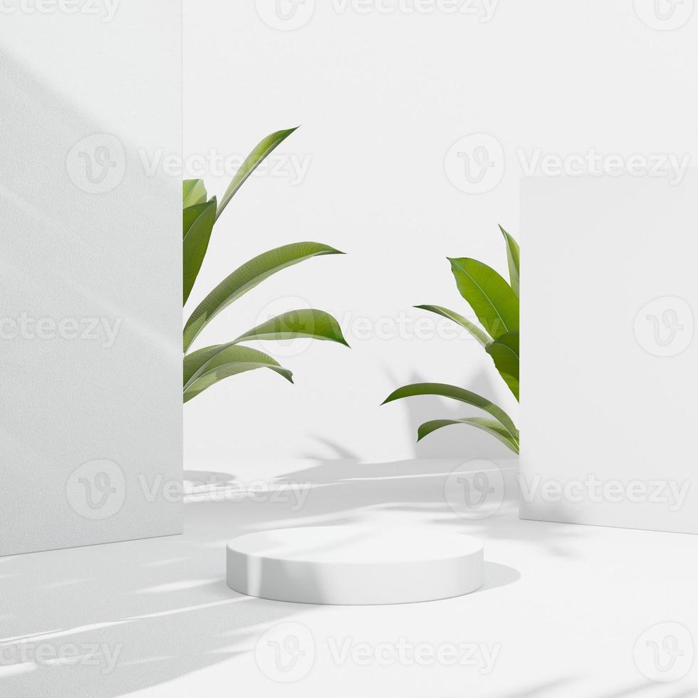 3D rendering Mock up summer podium for product design, minimal display. shadow overlay. photo