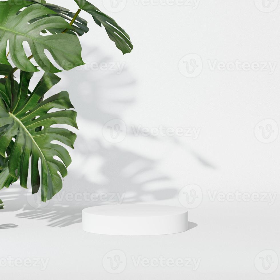 3D rendering Mock up summer podium for product design, minimal display. shadow overlay. photo