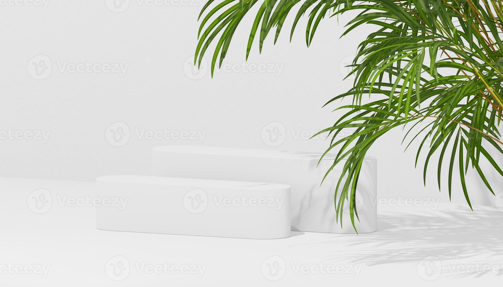 3D rendering Mock up summer podium for product design, minimal display. shadow overlay. photo