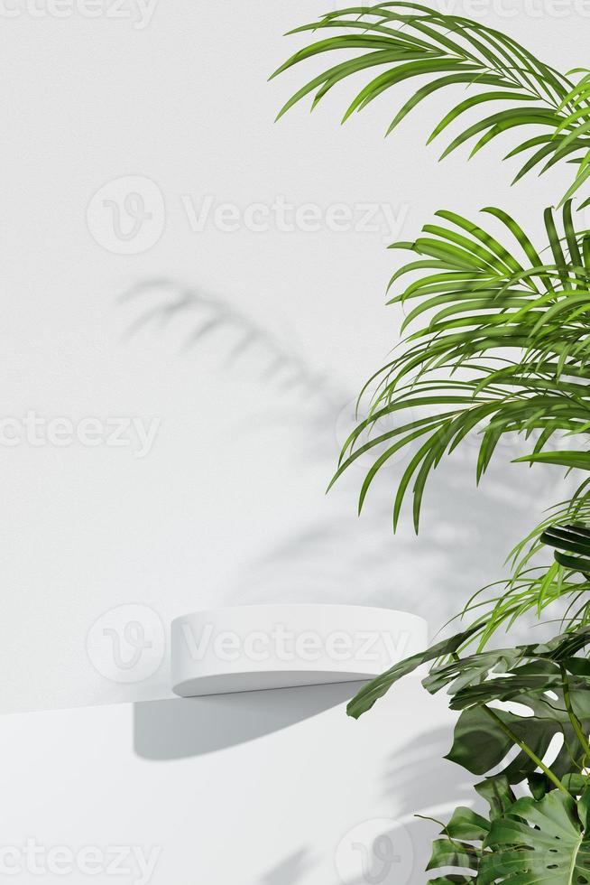 3D rendering Mock up summer podium for product design, minimal display. shadow overlay. photo