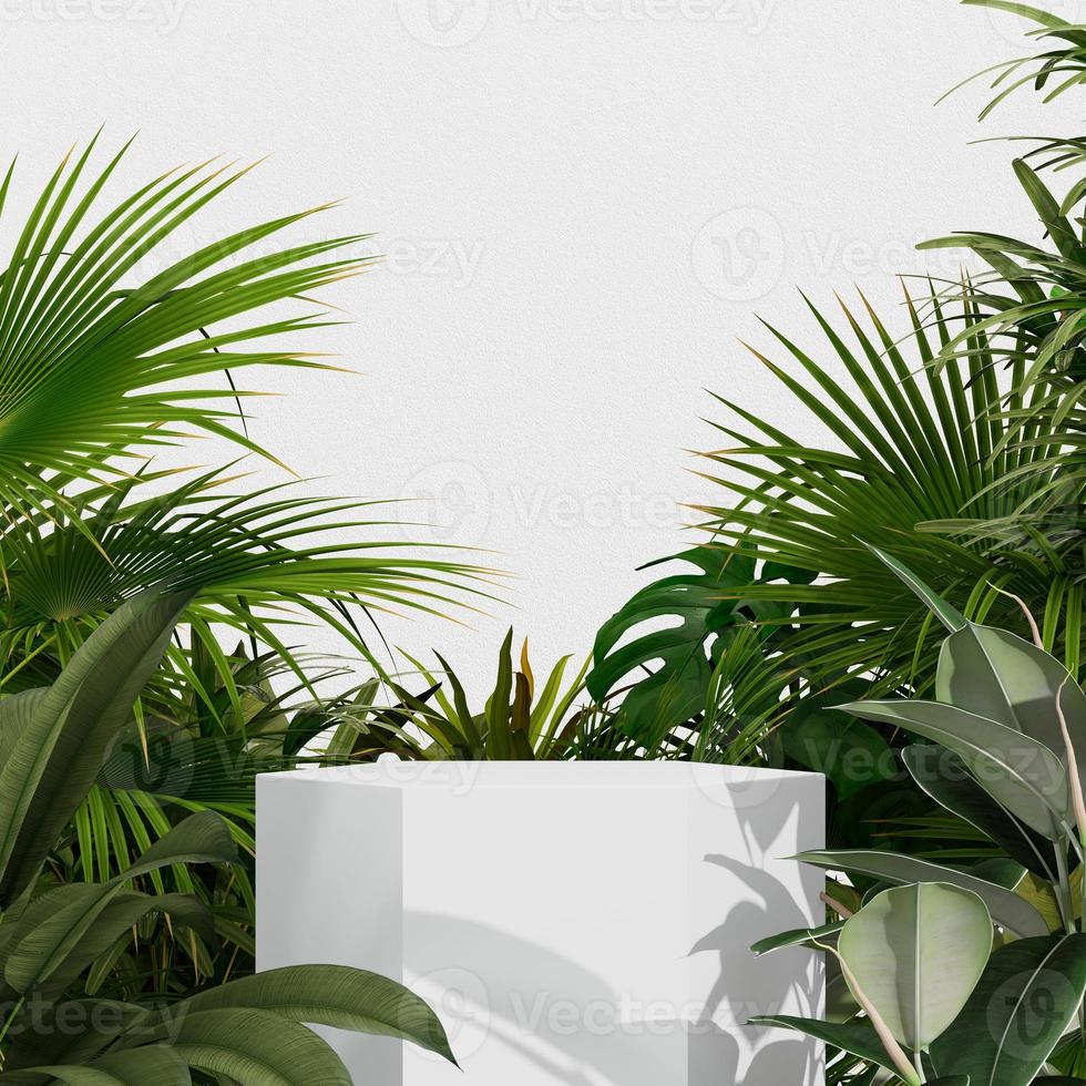 3D rendering Mock up summer podium for product design, minimal display. shadow overlay. photo
