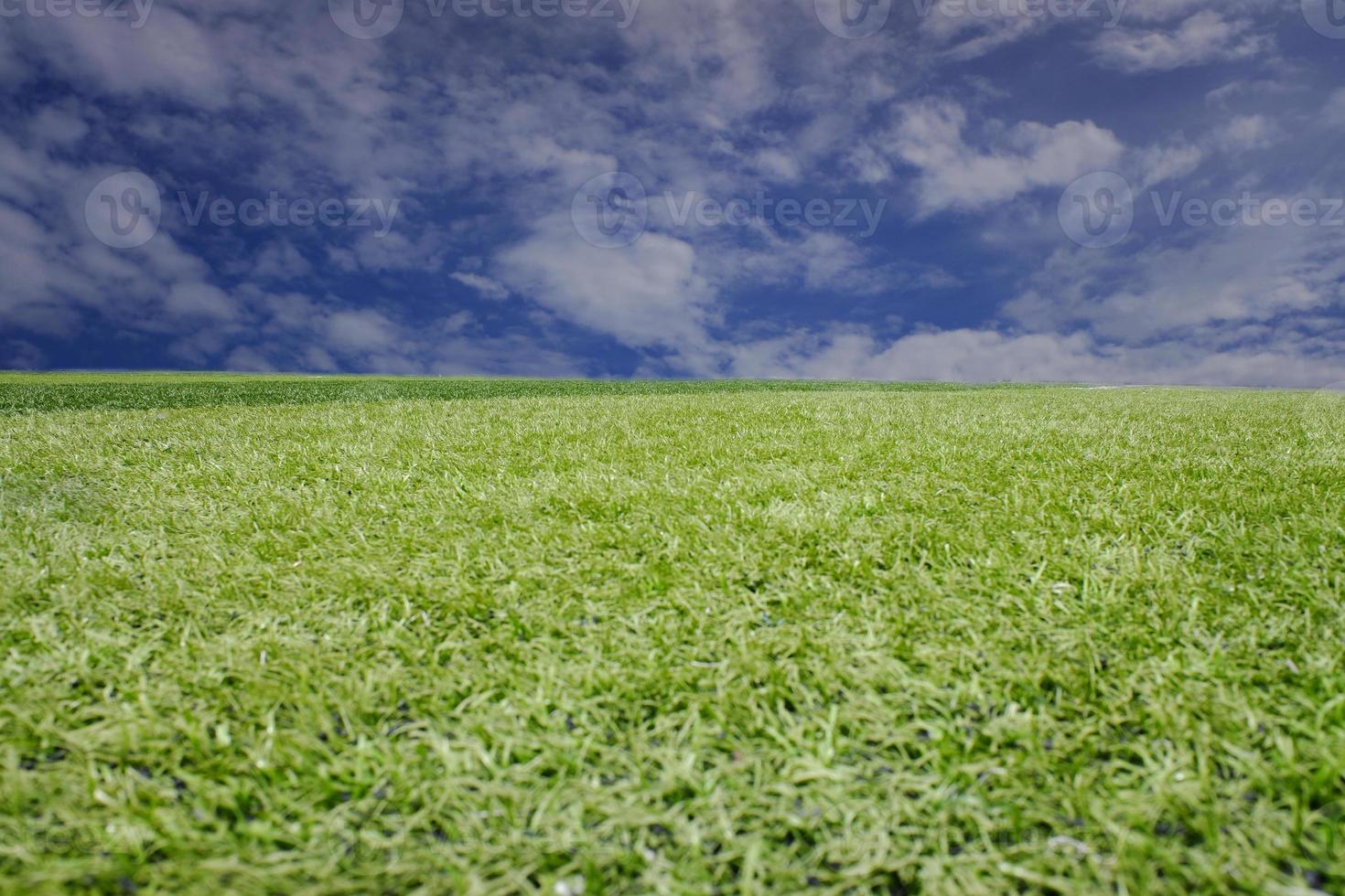 beautiful grass field and clear blue sky background texture. photo