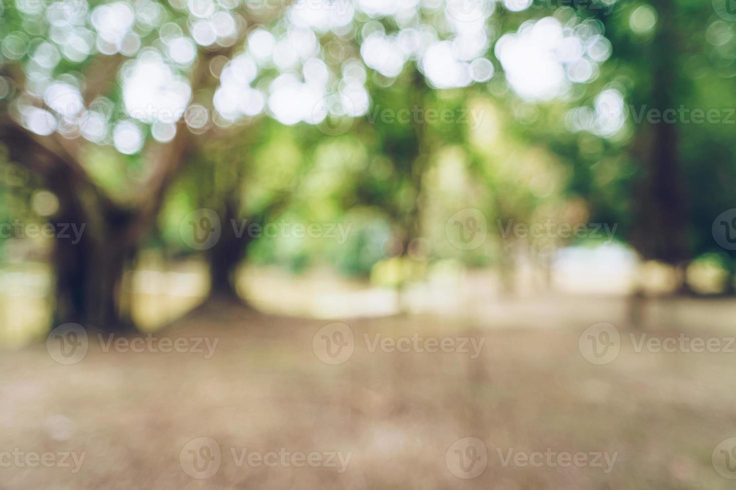 Green toned blurred nature bokeh public park with several trees. photo