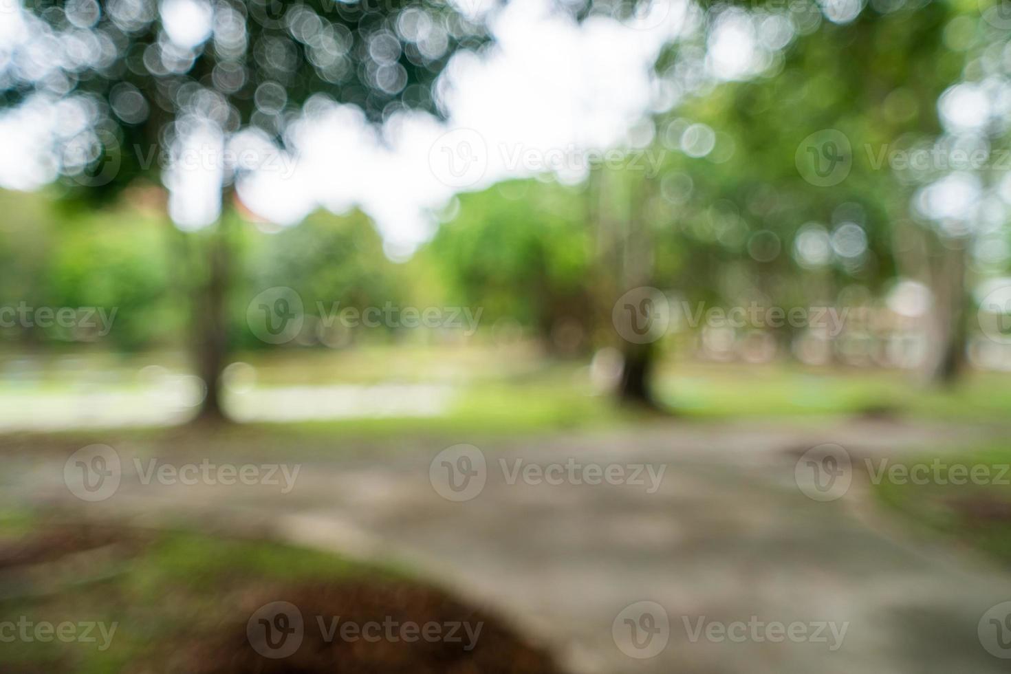 Green toned blurred nature bokeh public park with several trees. photo