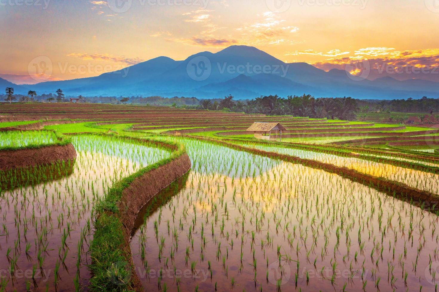 morning view with beautiful rice fields reflecting the sky and the morning sun between the mountains photo