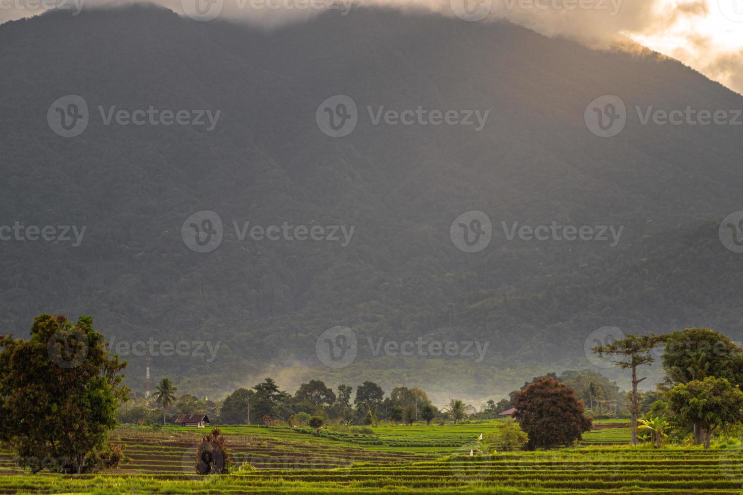 the beauty of a foggy morning panorama with sunlight and rice fields at the foot of the mountain in Indonesia photo