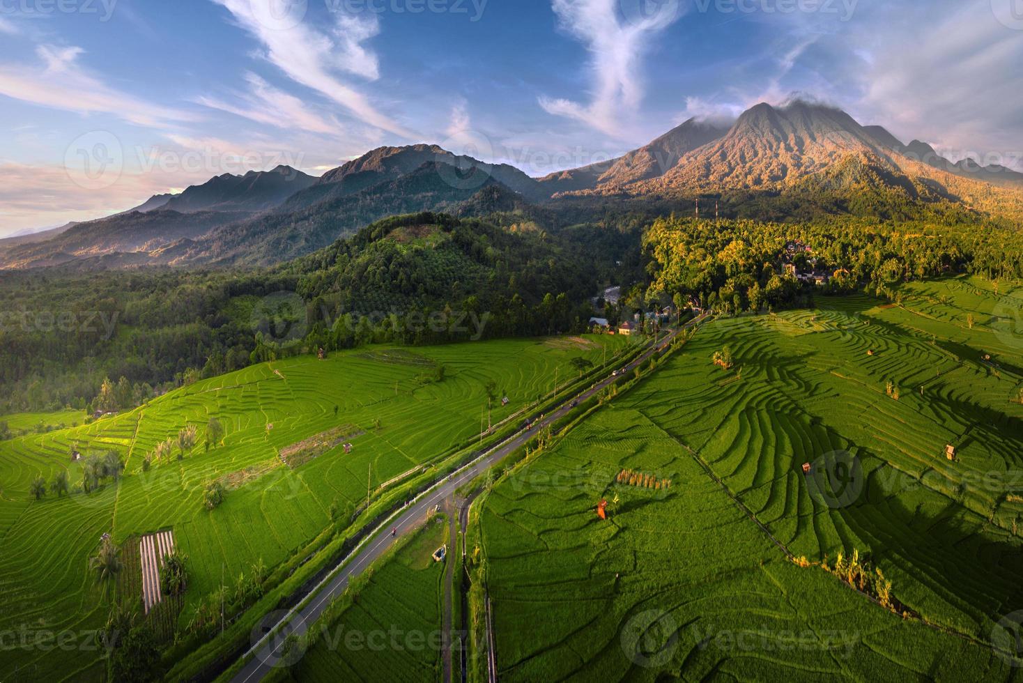 Indonesia's natural scenery with mountain ranges and rice fields farming area photo