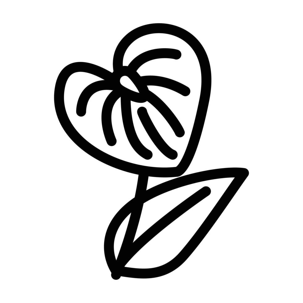 anthurium flower line icon vector illustration
