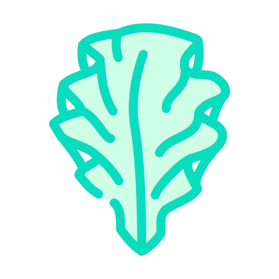 ulva lechuga algas color icono vector ilustración