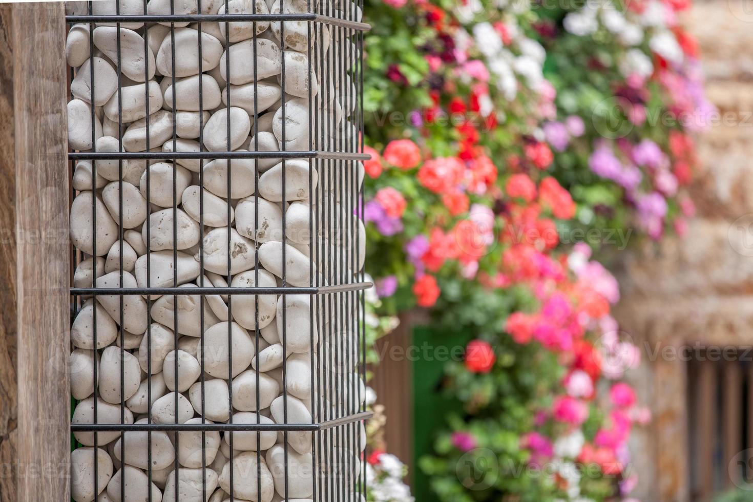 garden filled with flowers photo