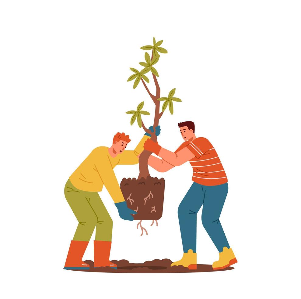 Two men carrying big tree for planting flat vector illustration.