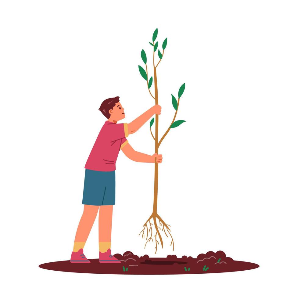 Boy planting tree flat vector illustration isolated on white. Kid holding tree seedling .