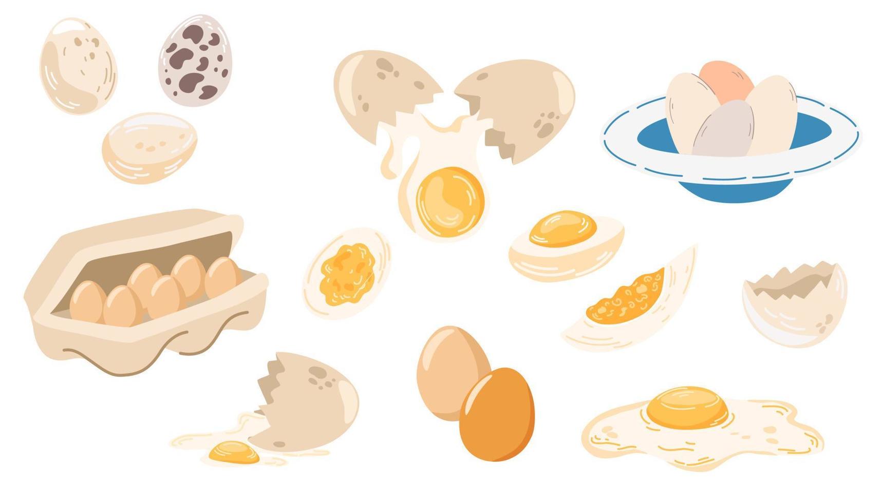 Chicken eggs. Set of Chicken eggs, raw, boiled and fried, Fresh brown eggs in a paper box. Healthy Protein food. Poultry farming. For printing, brochures, shops, restaurants and farming. Vector