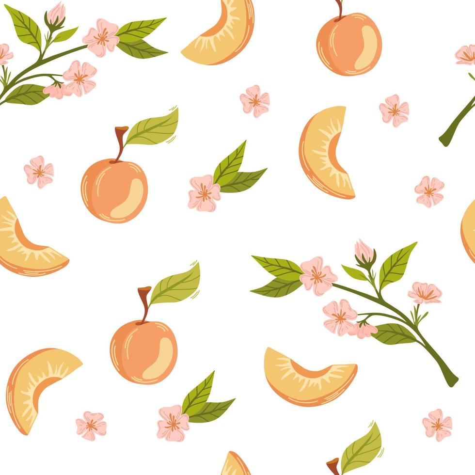 patrón sin costuras de fruta de albaricoque. Rise planta de jardín entera y media pieza con tallo y núcleo. jugosa fruta natural saludable. perfecto para papel tapiz, tela, decoración de interiores. ilustración de dibujos animados de vectores