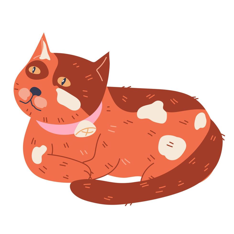 Cute fat adorable cat or kitten cartoon character, flat vector illustration isolated on white. Domestic pet. Lazy cat or kitten lying.