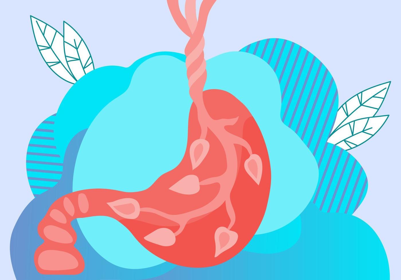 Human stomach icon - digestive system organ creative image for anatomical and biological visual presentation. Gastrology diseases, medical specialists or gastrologist emblem. Flat vector illustration.