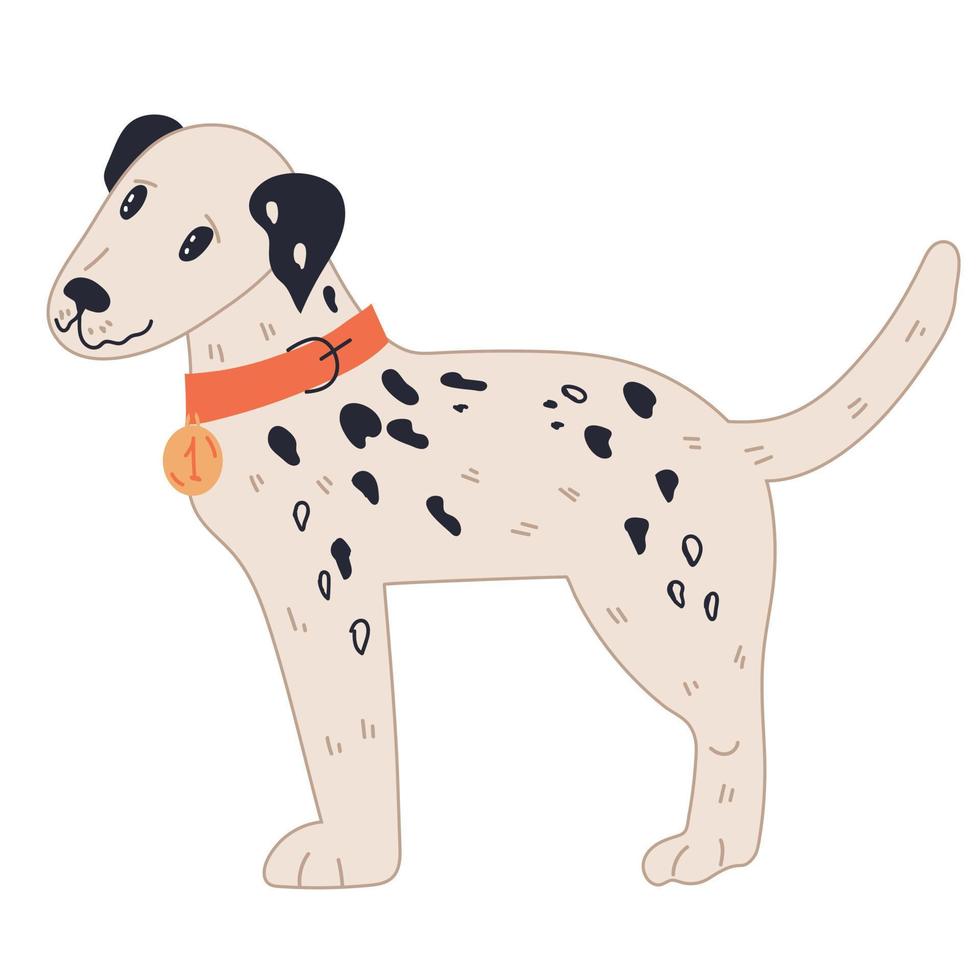 Dalmatians dog lovely cartoon character, flat vector illustration isolated on white background. Domestic pet. Funny hand drawn dog or puppy with black spots.