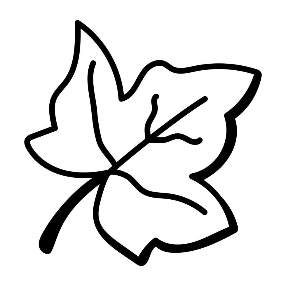 Modern dried leaf doodle icon design vector