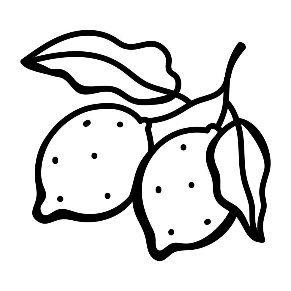 A hand drawn icon of lemons 7983266 Vector Art at Vecteezy