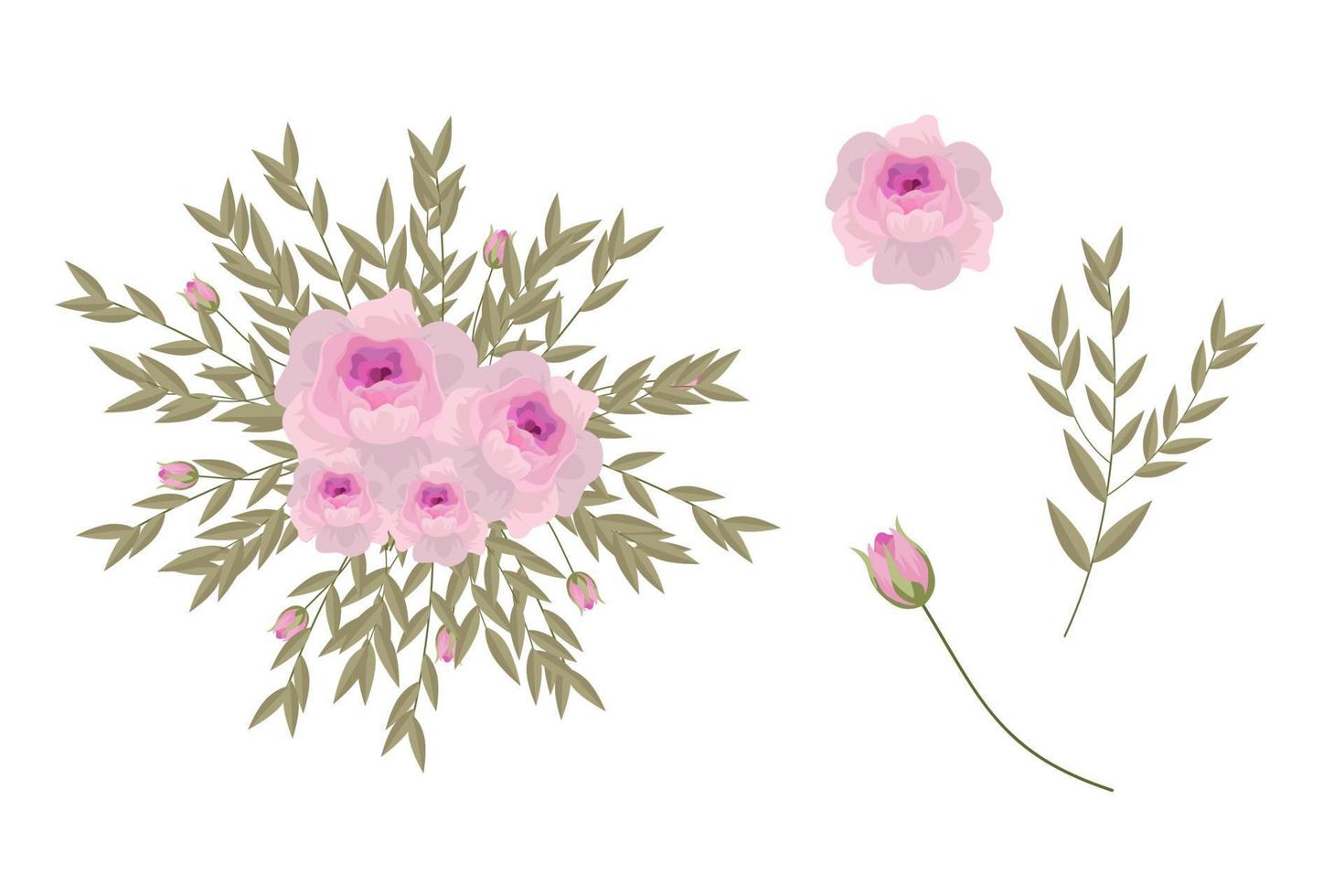 Set of pink floral elements and arrangements vector