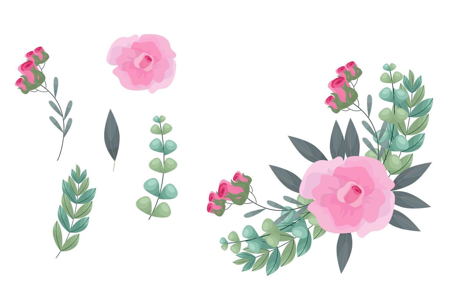 conjunto de elementos y arreglos florales rosas vector