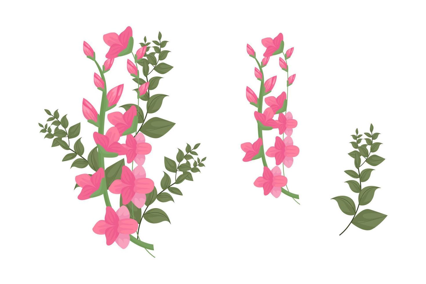 A variety of colorful arrangements of beautiful leaves and flowers vector