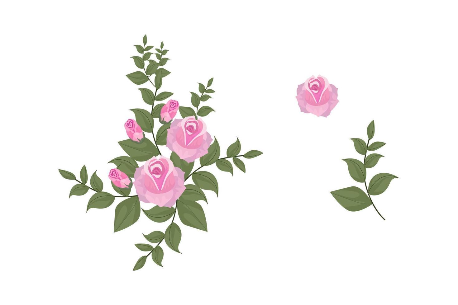 A variety of colorful arrangements of beautiful leaves and flowers vector